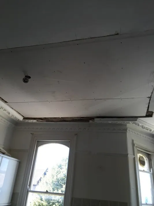 Repairs to Water Damaged Ceiling